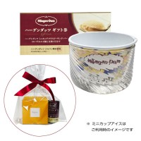翌日配達 Sghr ガラス製 デザートカップ & ハーゲンダッツギフト券プレゼントラッピング