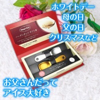 【ホワイトデー特別企画】メール便 翌日配達・送料無料 ハーゲンダッツギフト券(1枚)& アイスクリームスプーン Keepsakeギフトボックス アイスクリームスプーン付