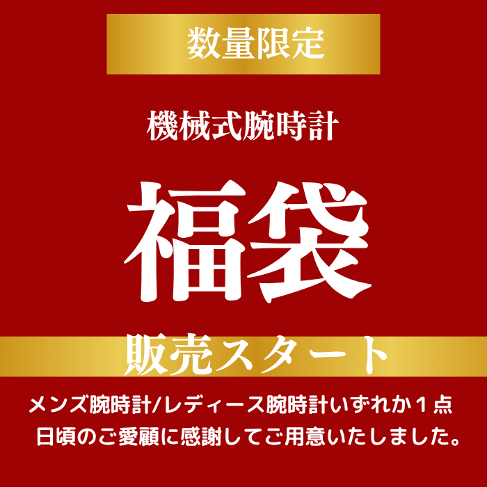 【数量限定】メンズ機械式腕時計 福袋