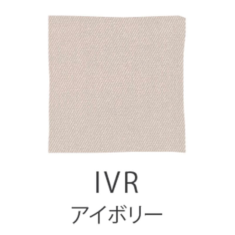 DAY ��ɪ���ե�(�����������顼����ġ�