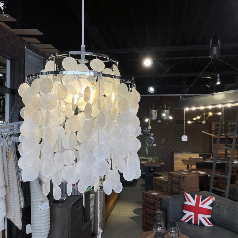 作家物 カメオ シェルランプ 貝 芸術品 照明 アンティーク インテリア