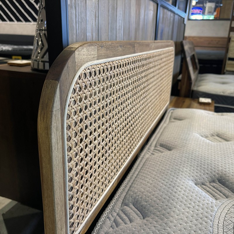 ����ɥС�ŷ���ڥ���������˥٥åɥե졼��ڥ���������ġ�