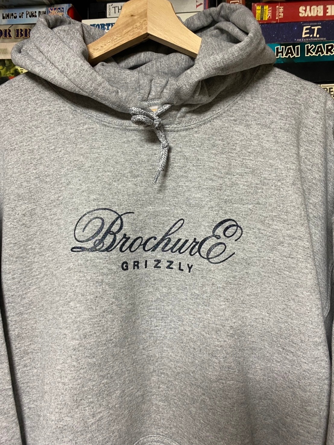 THE PLAN HOODIES