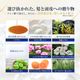 ǥȥå  ס 饤ȡǻ̩դˢD+TRAD SCALP SHAMPOO LIGHTϡХʹ