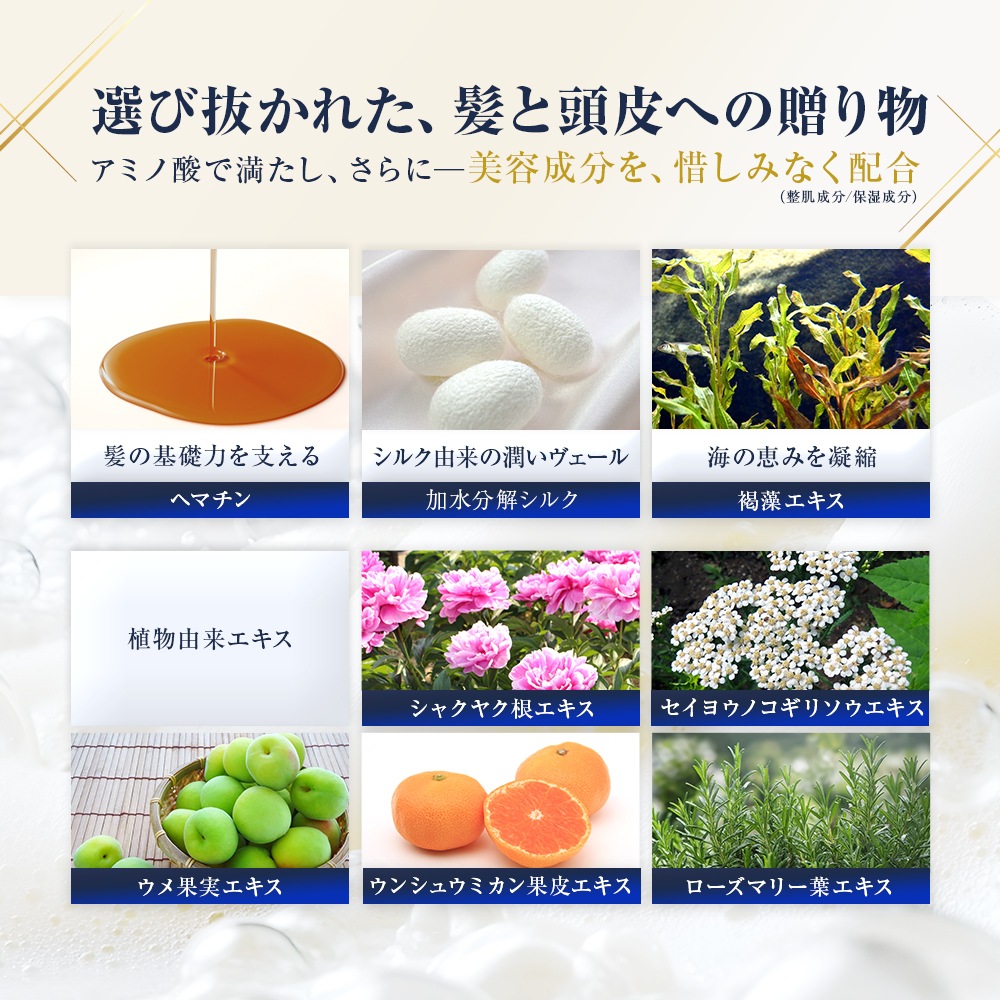 ǥȥå  ס ⥤ȡǻ̩꡼ߡˢDTRAD SCALP SHAMPOO MOIST  ̷Ϥι