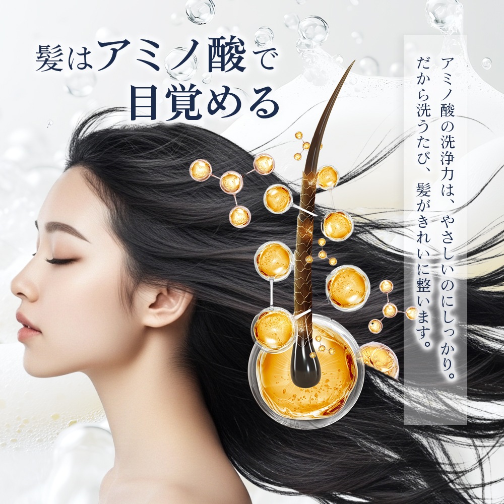 ǥȥå  ס ⥤ȡǻ̩꡼ߡˢDTRAD SCALP SHAMPOO MOIST  ̷ϥ֥ɤι