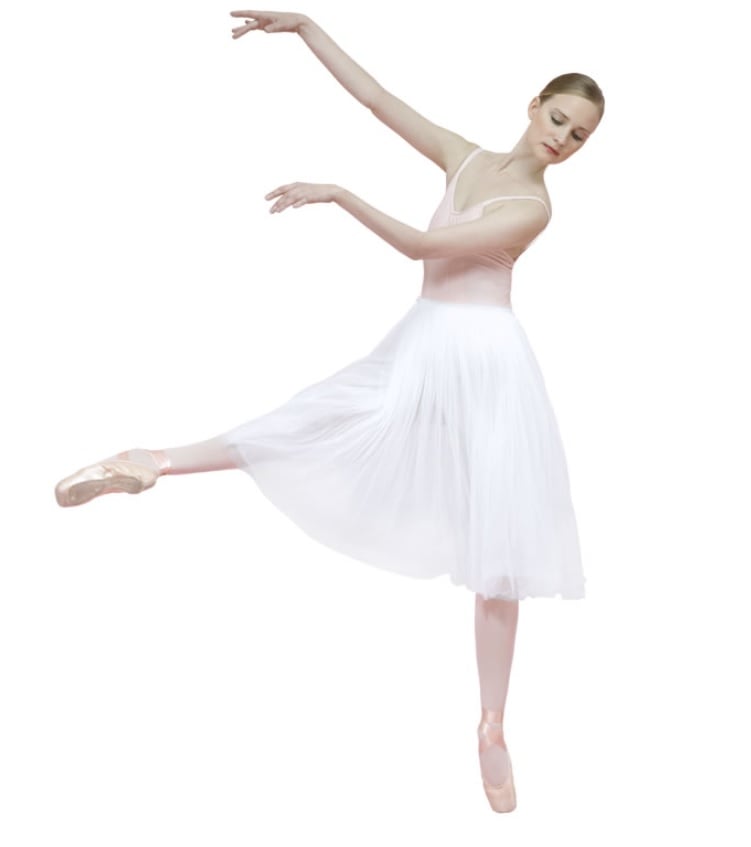 repetto リハーサルチュチュ D0534 | チュチュ,ロマンチックチュチュ