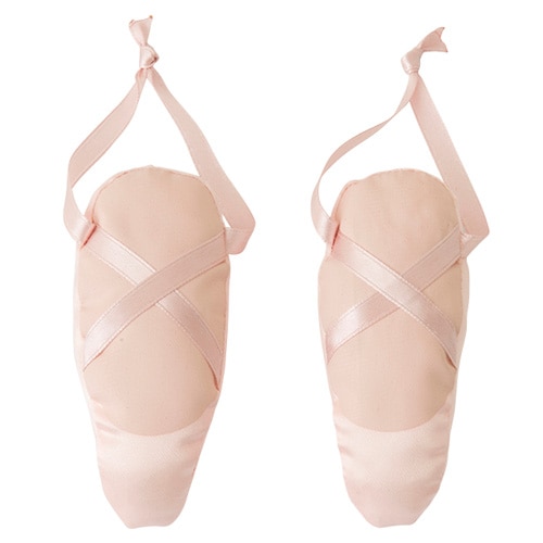 DANSKIN マキシシューズケア DA971901