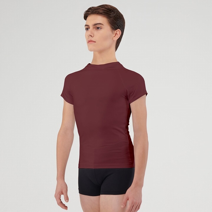 【特注/メーカーお取り寄せ】WEARMOI　MEN'S　ボトルネックTシャツ　ALPIN