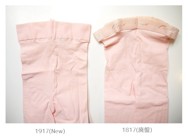 CAPEZIO ホールド&ストレッチ フットレスタイツN140