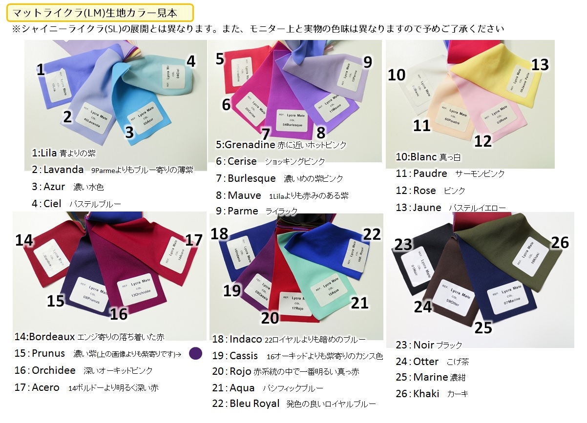 【お好きなカラーで作製いたします】Ballet Rosa ノースリーブレオタード　CAMILA（ライクラ）