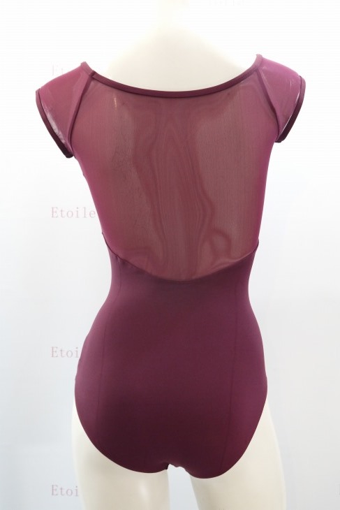 【LULLI Dancewear】　ハイバック　メッシュキャップスリーブレオタード　“Bronya”