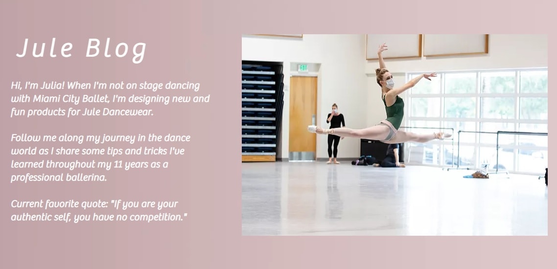 【Jule Dancewear】 メッシュロングスリーブレオタード Luster