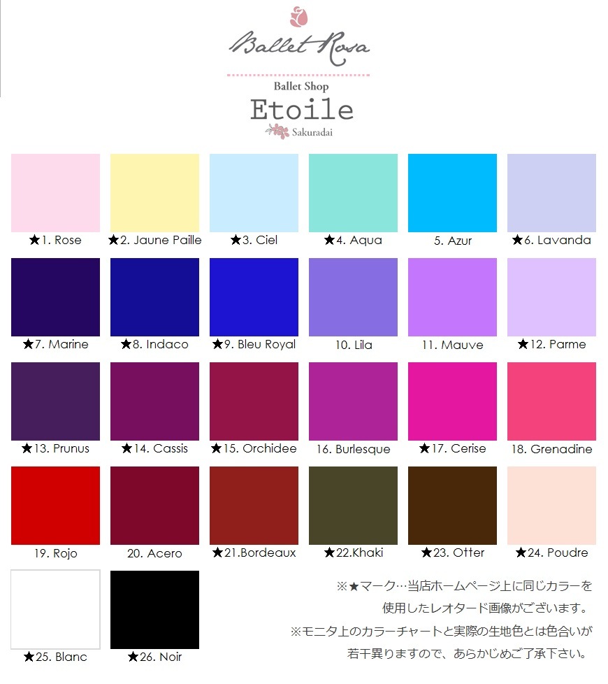 【お好きなカラーで作製いたします】Ballet Rosa ホルターネックレオタード　AYDEE