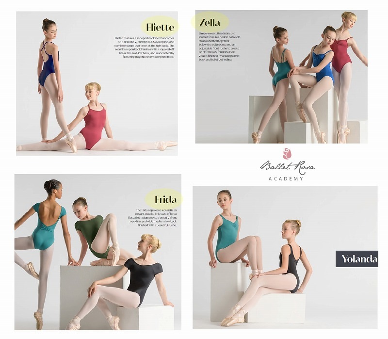 【特注/メーカーお取り寄せ】Ballet Rosa　ロングスリーブレオタード　AZORA