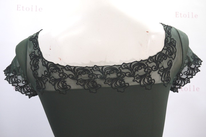 【Ballet Rosa】　刺繍キャップスリーブレオタード　AURORA