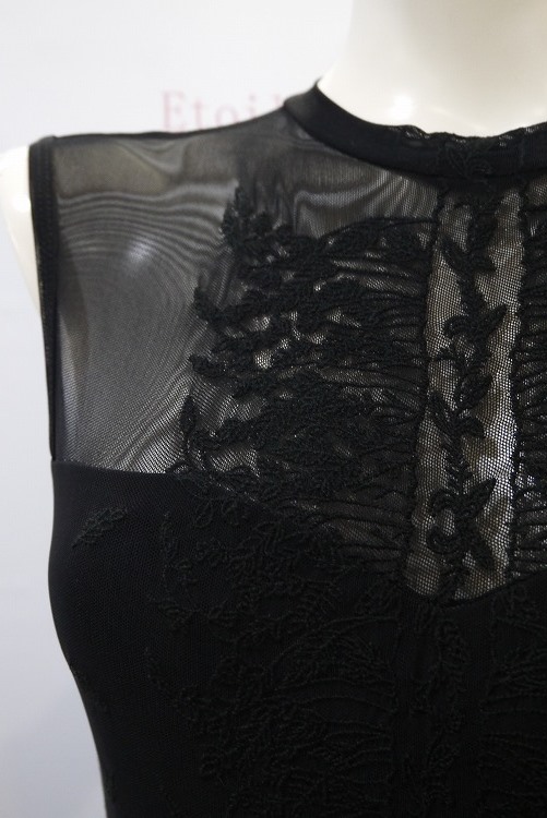 【Ballet Rosa】 刺繍メッシュハイネックレオタード　HARPER