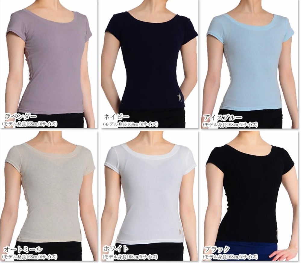 DD 大人気! 「キレイを着る」ワルツ刺繍ラウンドネックTシャツ