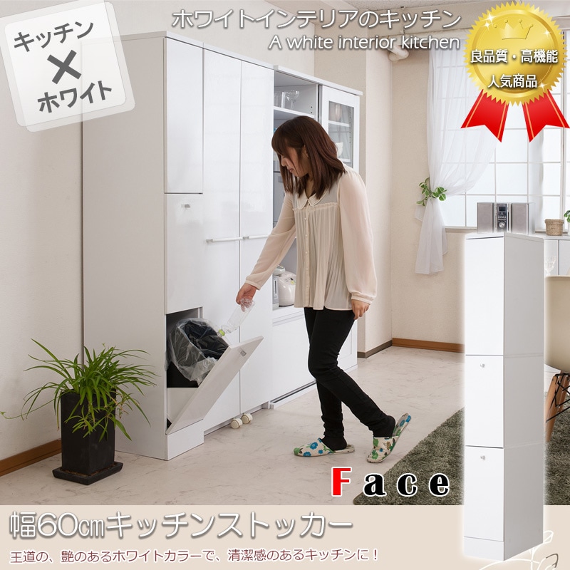 【face】キッチンシリーズ スリム 2分別 幅25 ホワイト ダストボックス ペール付き ホワイト ブラウン 省スペース設計 隙間収納 すきま ゴミ箱 ダスト ボックス 14L 扉 一人暮らし レンジラック | 小物収納 ごみ箱 家電ラック 電子レンジ レンジ台 収納ラック すきま収納