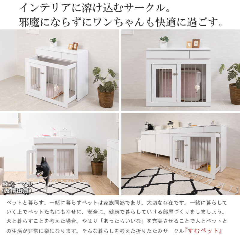 WHITE LIV ꡼90 40 ⤵80 Ǽդ饤ɼǼ ۥ磻 եӡ ڥåȥ ڥåȥ  淿 ⥵ 饤 ̲  ڥå  fy-0130