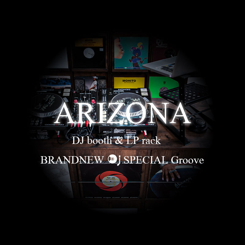 ARIZONA DJブース まるでレコード屋さん LP収納BOX 1個 レコード
