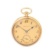 TIFFANYCo./ƥեˡPatek Philippe x  tiffany   #BW01093