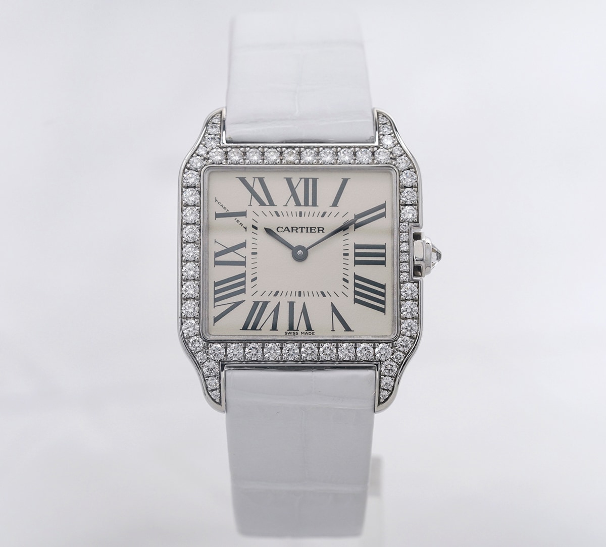 �T���g�X�f�������@WH100251