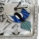 Franck Muller/�ե�󥯥ߥ�顼 Long Island ���󥰥������� Happy Mugpie �ϥåԡ��ޥ��ѥ� 952 QZ REL BU MOP D 1R 88�ܸ��� �ڹ����Ź�߸ˡ�#HK11672D