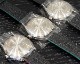 KURONO BUNKYŌ TOKYO/�����Υ֥󥭥祦�ȥ����祦 �����ɼ����Ļ� ���ܥ��å� #JP27425
