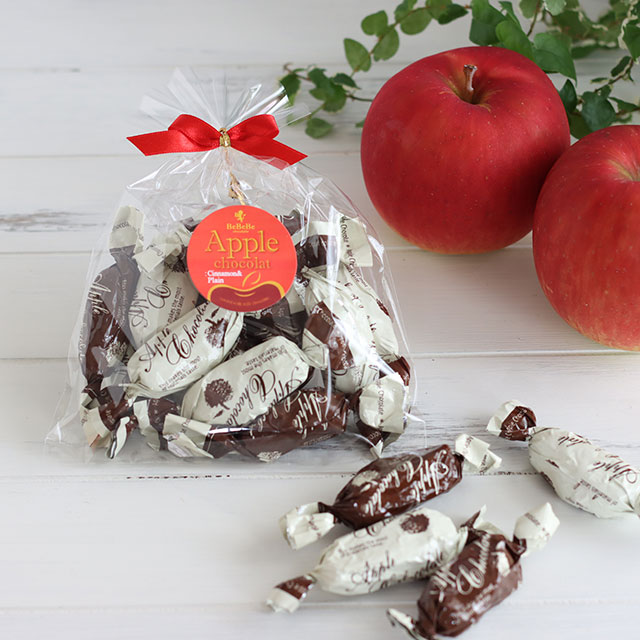 アップル ショコラ(シナモン&プレーン)11粒入