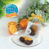 【冷やして、とろける。夏の癒しチョコレート】オレンジ トランシュ ショコラ［プチ］ 2枚入