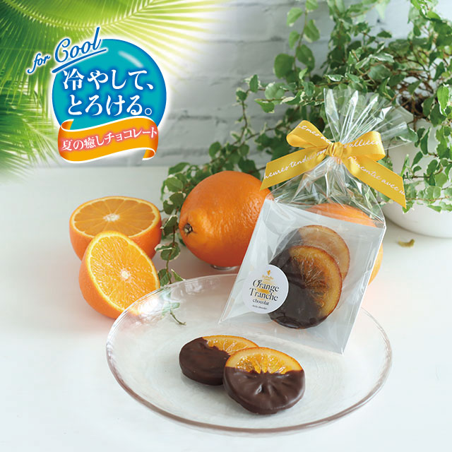 冷やして、とろける。夏の癒しチョコレート】オレンジ トランシュ