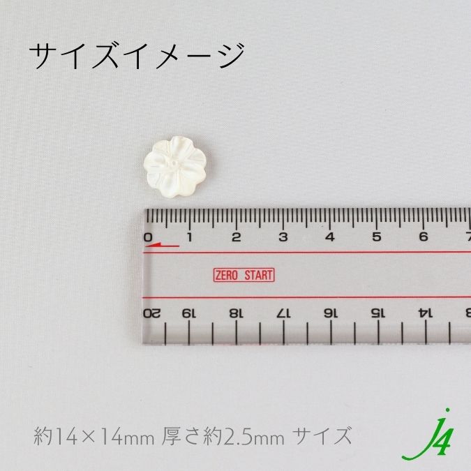 シェルパーツ 穴無し 14 x14mm 花 2個 j4 】アクセサリーパーツ 天然素材