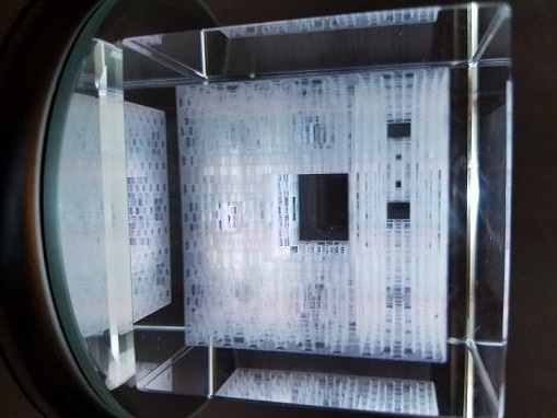 �ե��ȥ˥å��ե饯���롡���ޥ��󡡲������Ͼ콤�������ƥࡡĹǯ�θ��椬�������ˤʤ�ޤ�����