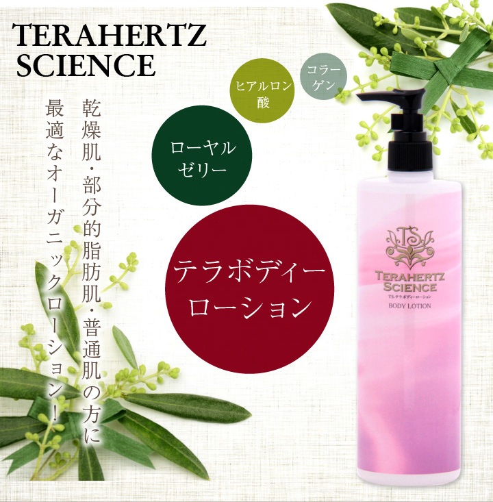 �ƥ�إ�ĥܥǥ������������ �ƥ�إ���Ⱦȼͤ���ȩǯ�𲽾��ʡ��˽�����