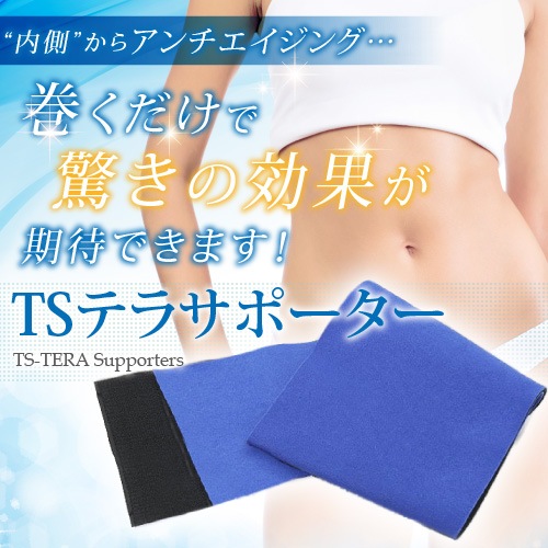 ƥإĥݡ衢ˡåȡνˤŬƥإľȼͥݡ˽ѡ