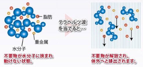 �ƥ�إ�ĥܥǥ������������ �ƥ�إ���Ⱦȼͤ���ȩǯ�𲽾��ʡ��˽�����