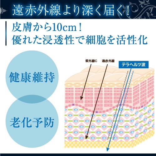 �ƥ�إ�Ĺ��� ��������ǥ�å���(�ѥ4��) 25g �ƥ�إ�Ŀ��Ĥ���롡