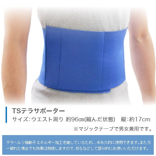 ƥإĥݡ衢ˡåȡνˤŬƥإľȼͥݡ˽ѡ