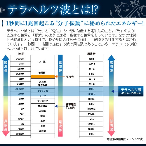 �ƥ�إ�����ա�ŷ��Ʀ���˥ƥ�إ���Ⱦȼͤ���ȩǯ�𲽾���