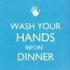 ڥ磻󡦥ѡƥۥɥ PPD ڡѡʥץ/Wash Your HandsC 20