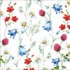 ڲѡƥAmbiente ڡѡʥץ/Mix Wild FlowersL 20