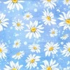 ڲǥ֥롼ѡƥAmbiente ڡѡʥץ/Daisies BlueL 20