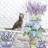 ��ǭ ưʪ �ѡ��ƥ�����Ambiente �ڡ��ѡ��ʥץ���/kitten��L������ 20�������