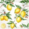 �ڥ��� ���ȥ��� �ѡ��ƥ�����Ambiente �ڡ��ѡ��ʥץ���/Citrus��L������ 20�������