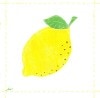 �ڥե롼�ġۥɥ����� PPD �ڡ��ѡ��ʥץ���/Fashion Lemon��L������ 20�������