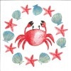�ɥ����� PPD �ڡ��ѡ��ʥץ���/La crab��L������ 20�������