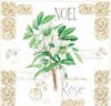 �ڥ��ꥹ�ޥ���Ambiente �ڡ��ѡ��ʥץ���/�Υ����������L������ 20�������