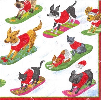 �ڥ��ꥹ�ޥ��ۥɥ����� Caspari  �ڡ��ѡ��ʥץ���/����������ͷ�ӡ�L������ 20�������