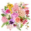 �ڲ֡ۥɥ����� PPD �ڡ��ѡ��ʥץ���/Flower Bouquet��L������ 20�������